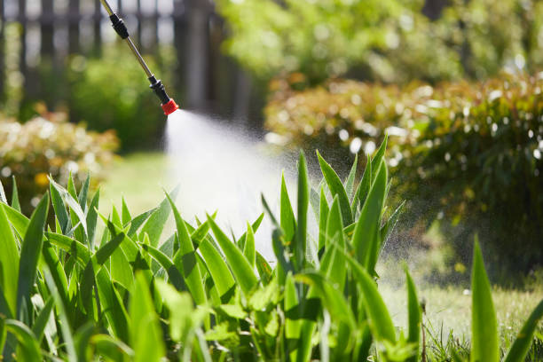 Tamper-Resistant Bait Stations for Rodents in Mountain View