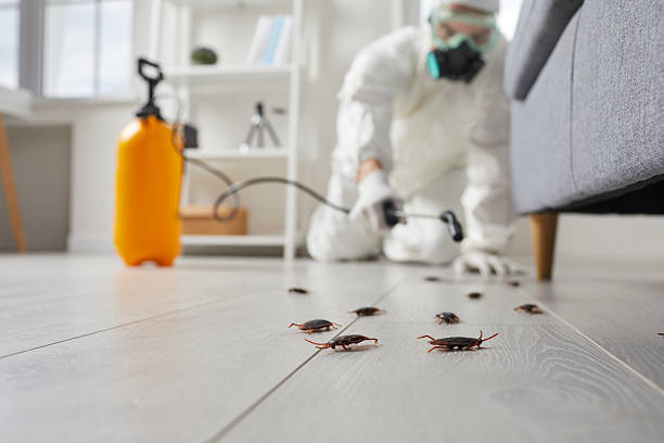 Commercial Rodent Management in Mountain View